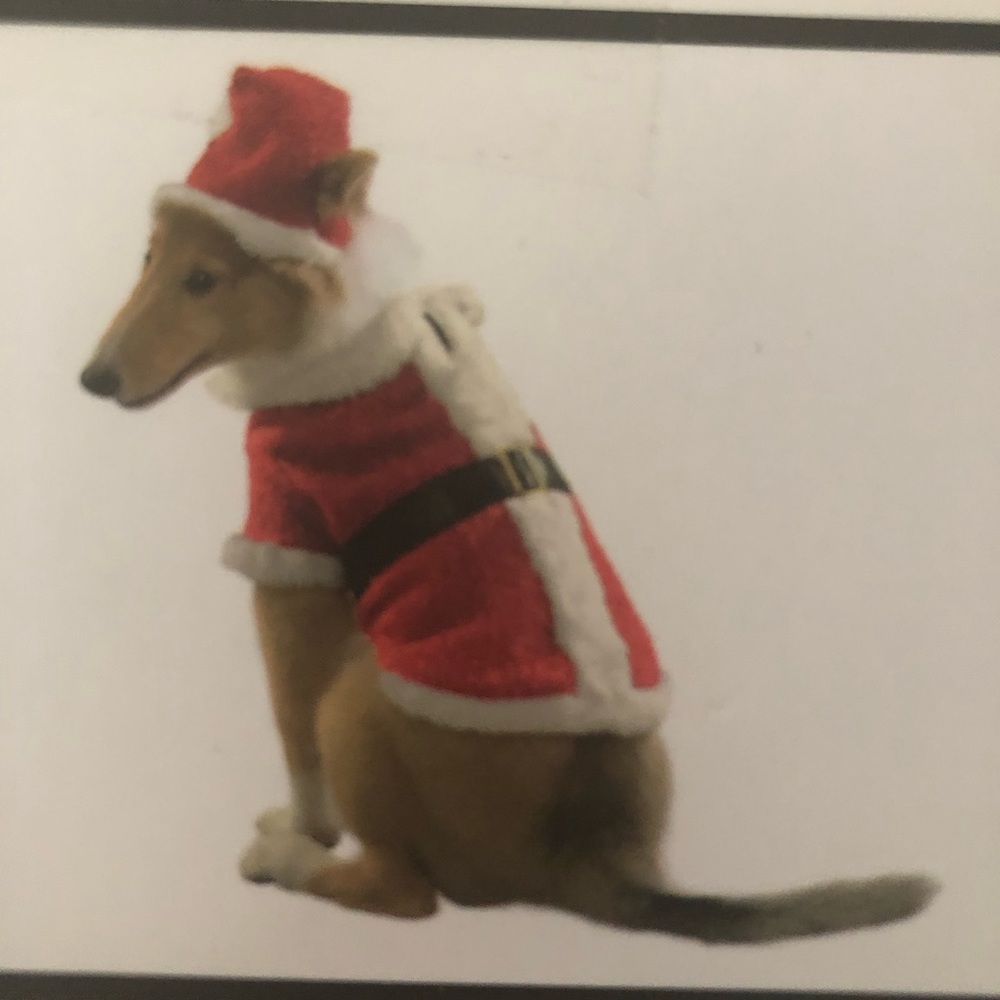 Live love and bark Santa outfit for your dog